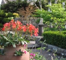 Alpine Garden & Nursery