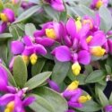 Nursery open from Friday 4 March 2016