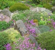 Slack Top Rock Garden in June