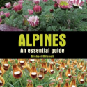 ‘Alpines – An Essential Guide’